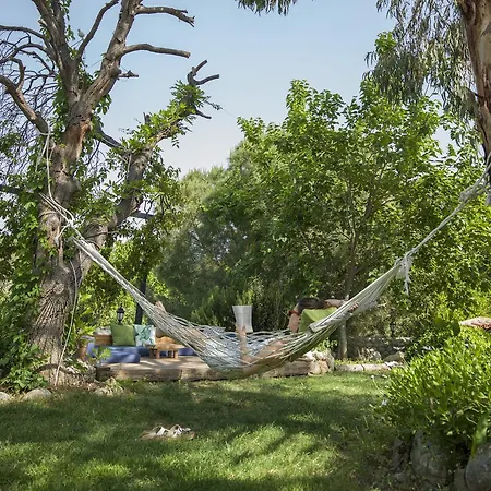 Koop' / Eski 4* 达特恰