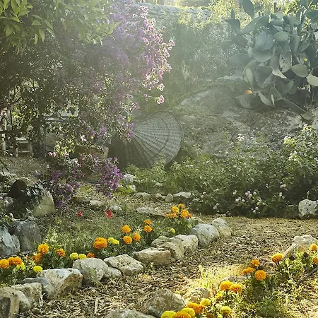 酒店 Koop' / Eski 4*