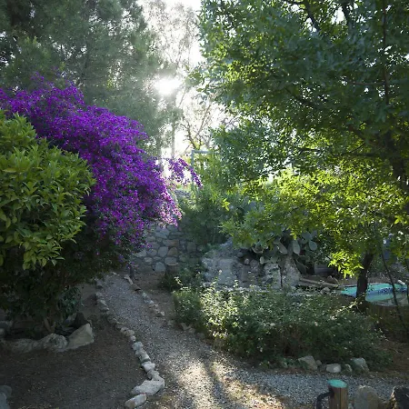 酒店 Koop' / Eski 达特恰