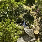 Koop' / Eski ダッチャ