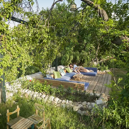 Koop' / Eski داتْشا