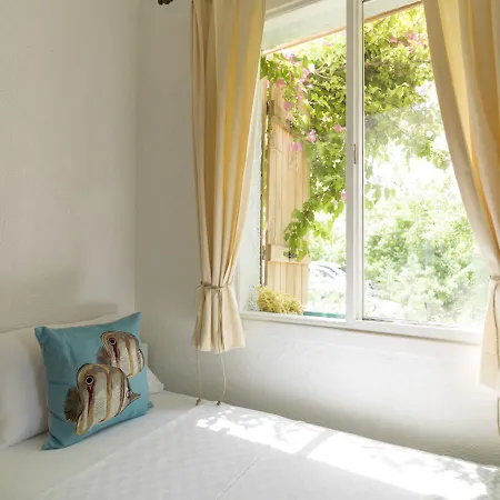 Koop' / Eski داتْشا