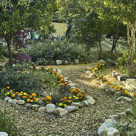 فندق Koop' / Eski