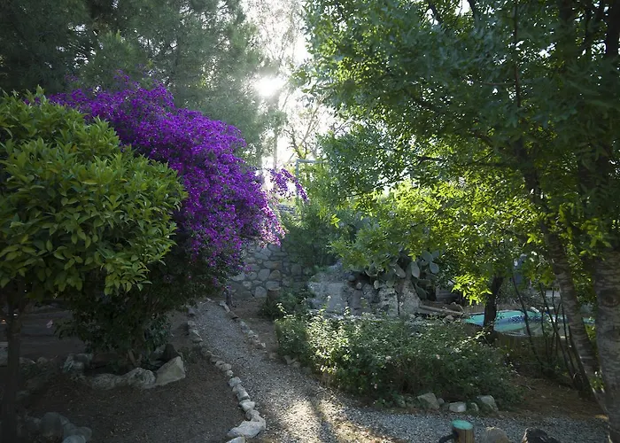 Ξενοδοχείο Koop' / Eski Datca