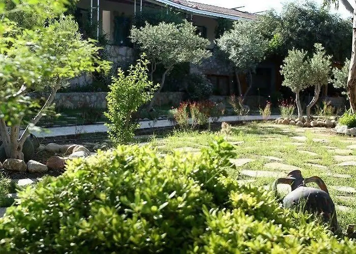 Koop' / Eski 4* Датча