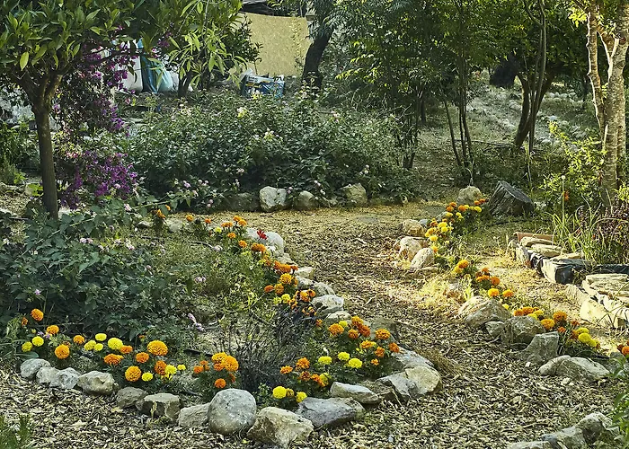 Ξενοδοχείο Koop' / Eski