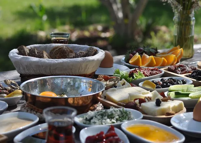 Koop' / Eski Датча