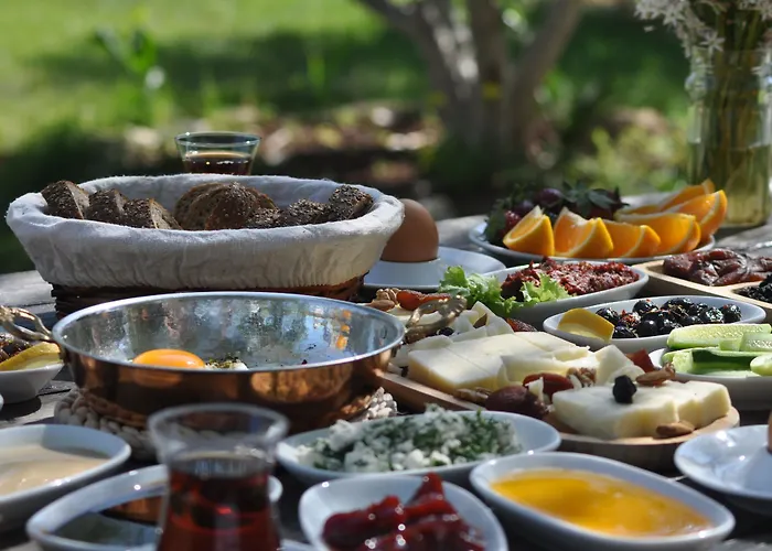 Ξενοδοχείο Koop' / Eski 4*