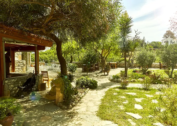 Отель Koop' / Eski