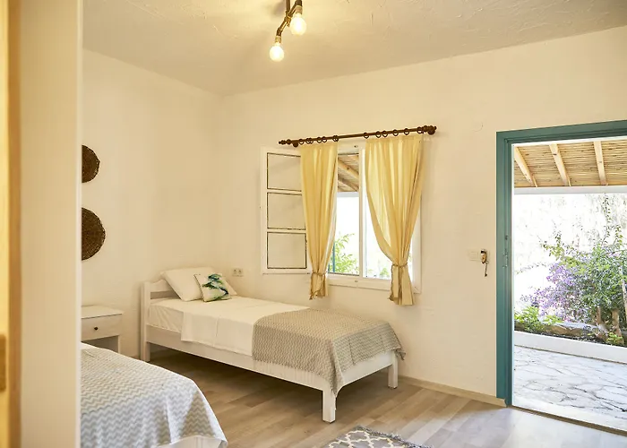 Koop' / Eski Датча